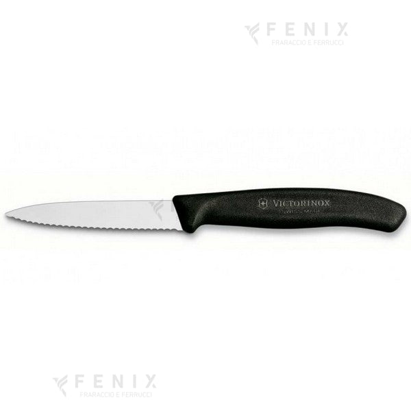 Coltello Spelucchino dentato 9cm