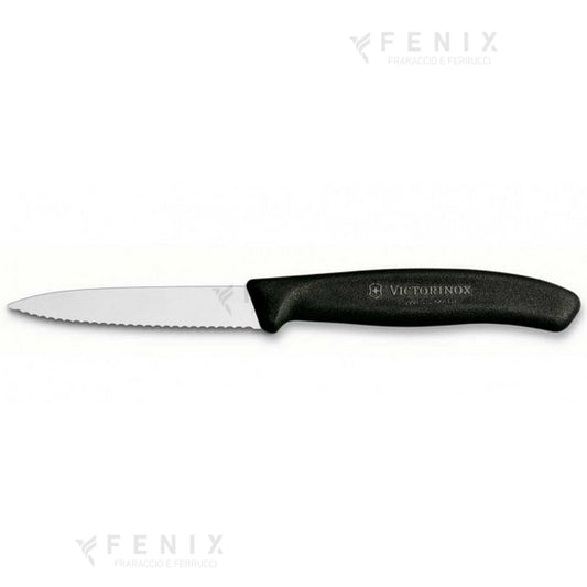 Coltello Spelucchino dentato 9cm