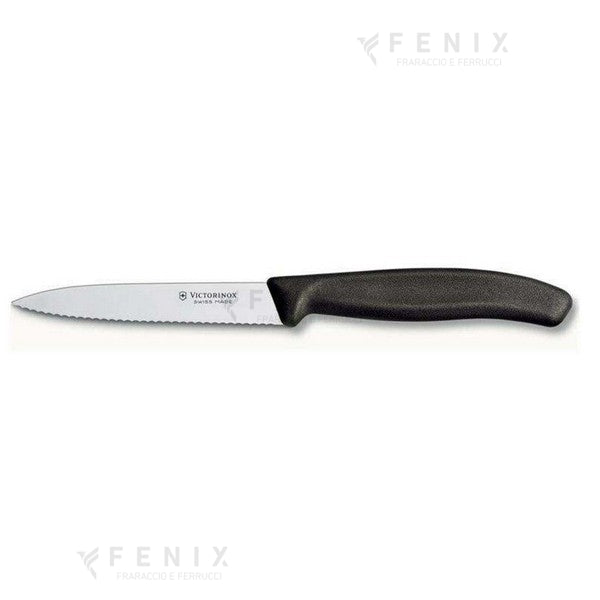 Coltello Spelucchino dentato 11cm