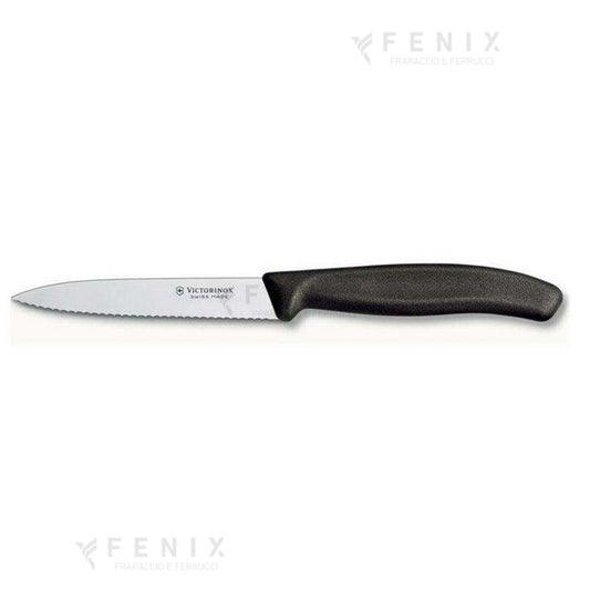 Coltello Spelucchino dentato 11cm